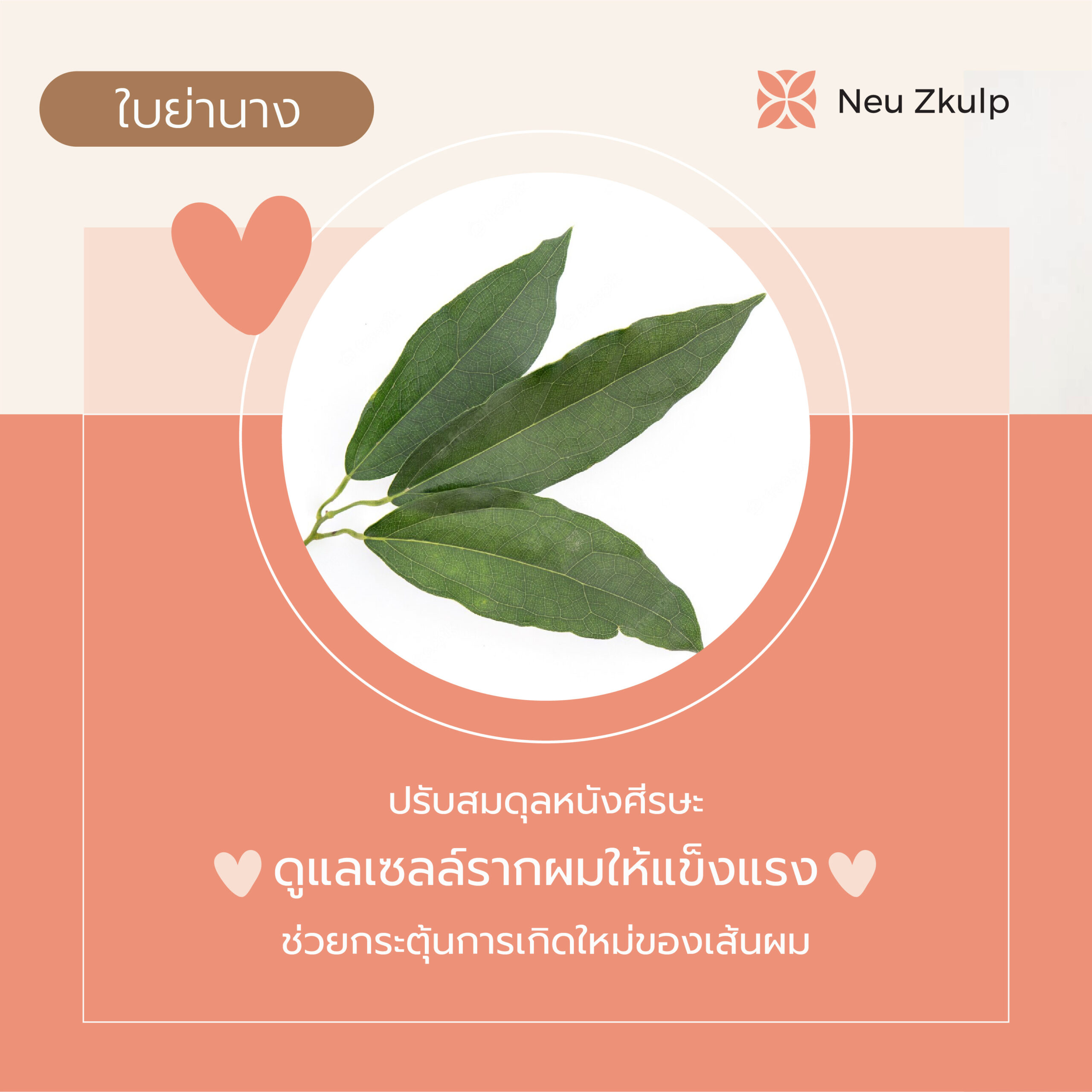 ingredient4