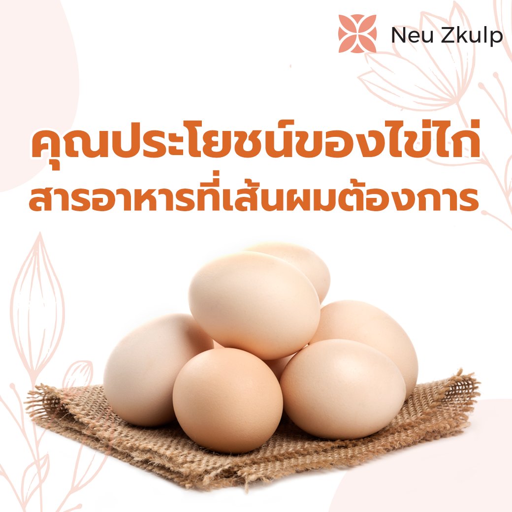 ทานไข่ไก่ช่วยบำรุงเส้นผมให้มีสุขภาพดี